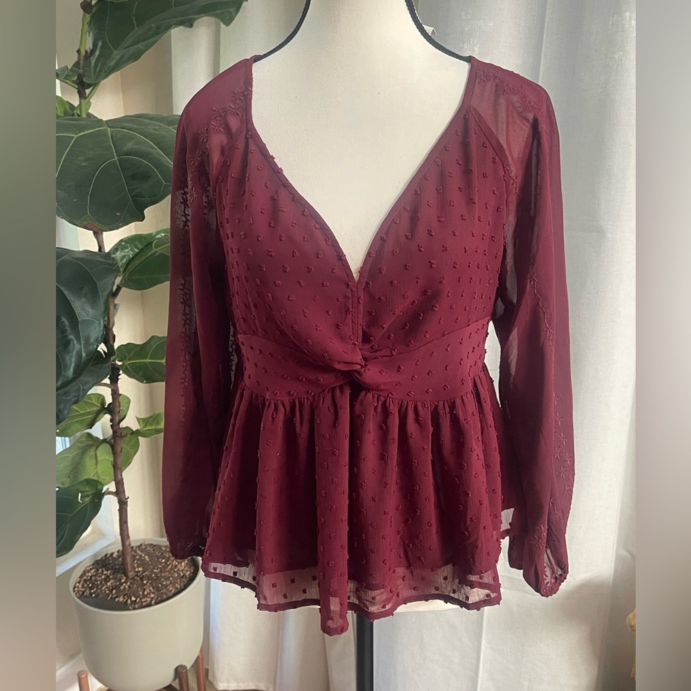 Bohme Burgundy V-Neck Blouse